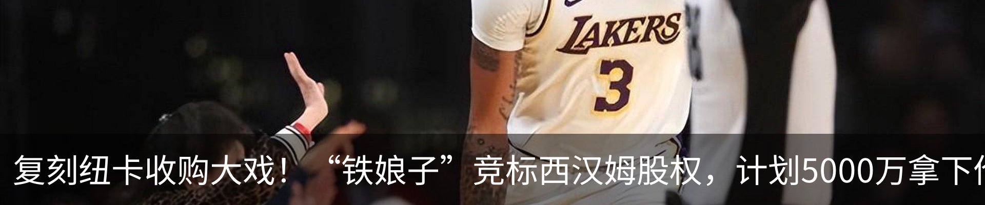 新闻动态