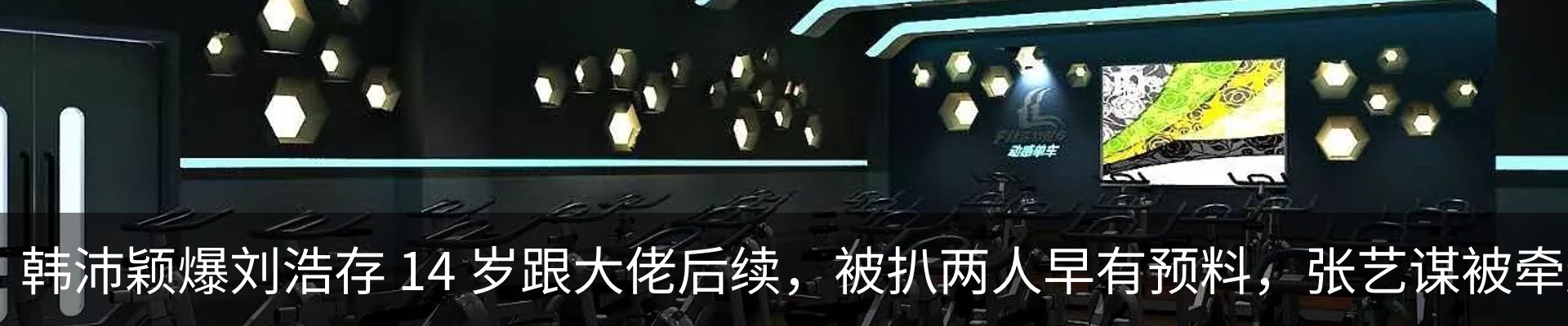 新闻动态